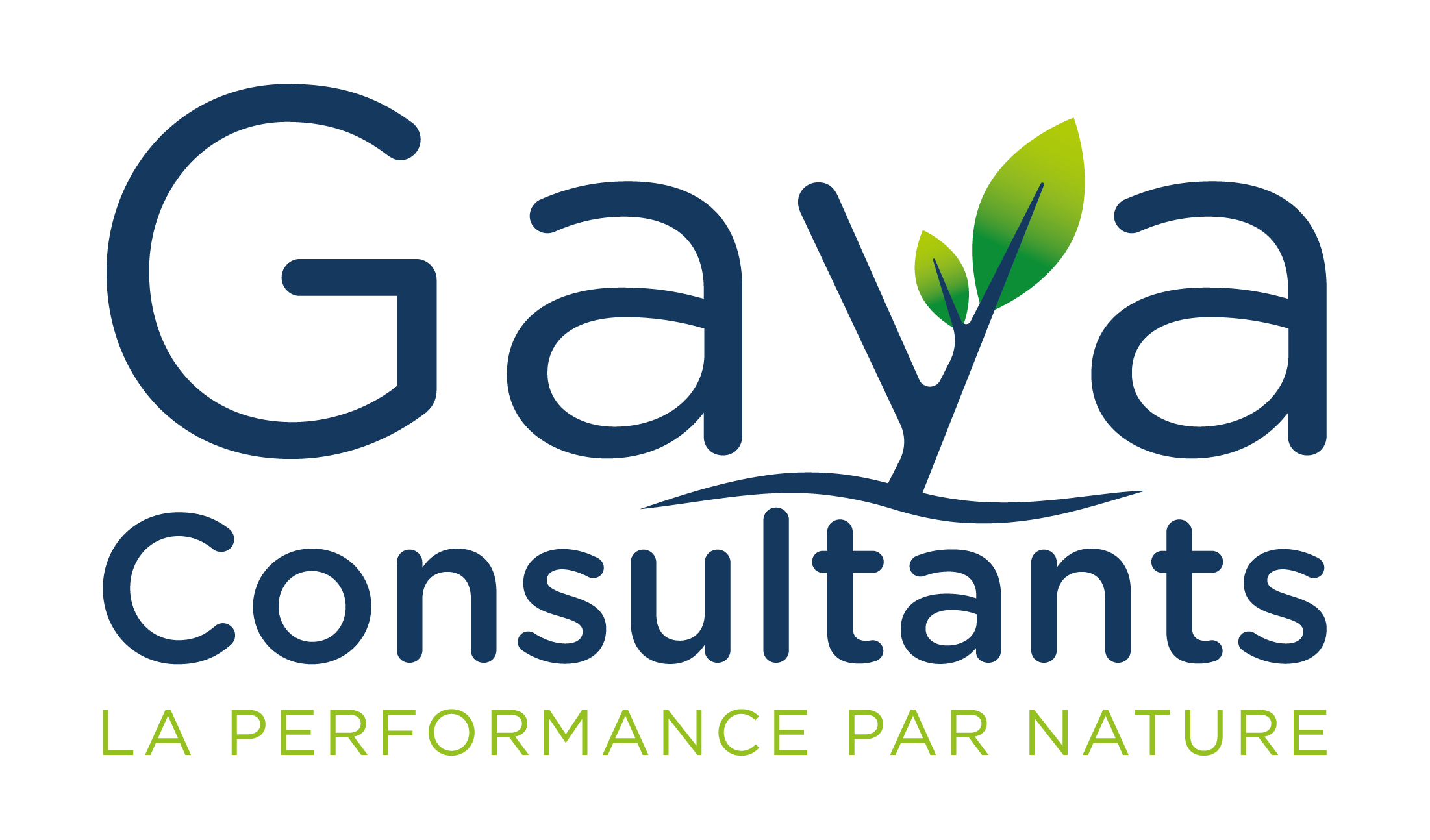 Gaya Consultants